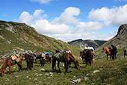 Wanderreittouren in Burjatien